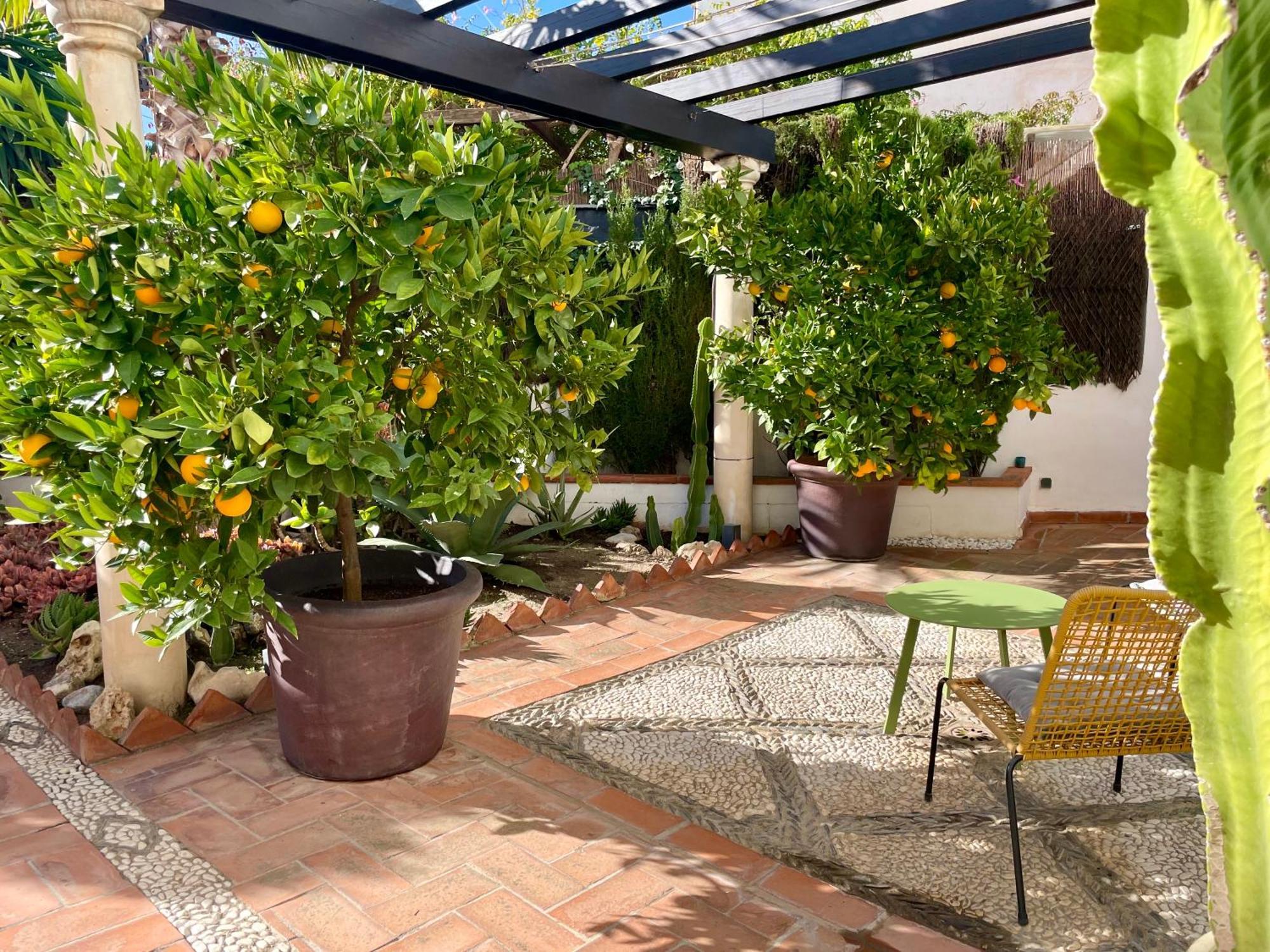 San Miguel B&B Granada Eksteriør billede